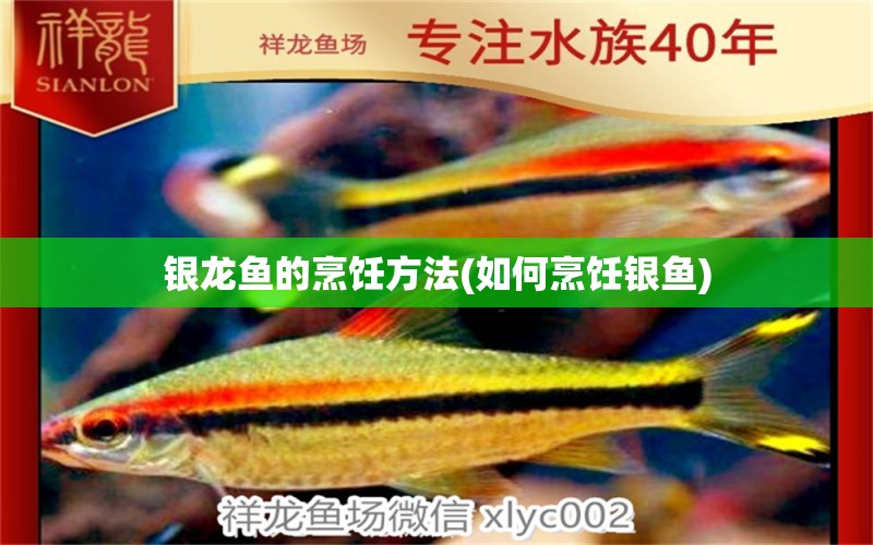 銀龍魚的烹飪方法(如何烹飪銀魚) 銀龍魚