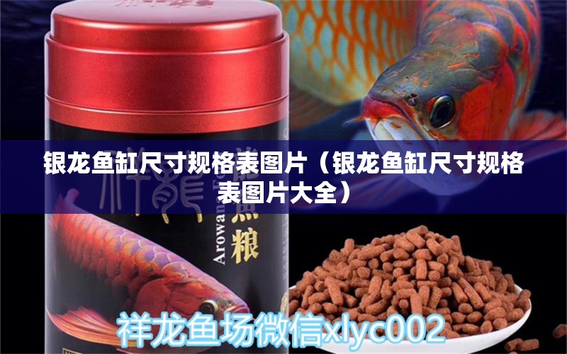 銀龍魚缸尺寸規(guī)格表圖片（銀龍魚缸尺寸規(guī)格表圖片大全） 銀龍魚