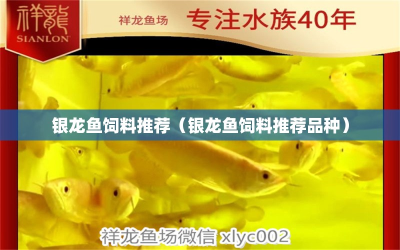 銀龍魚飼料推薦（銀龍魚飼料推薦品種） 銀龍魚