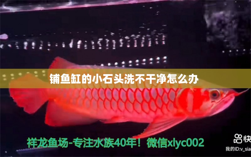 鋪魚缸的小石頭洗不干凈怎么辦 