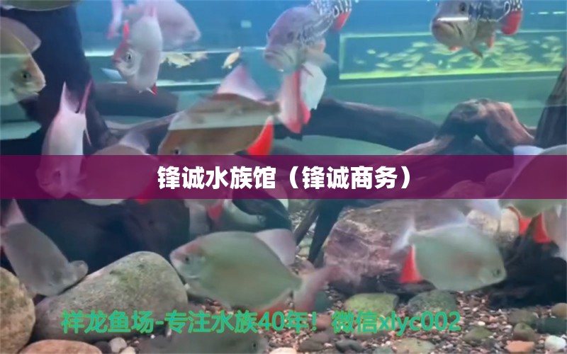 鋒誠水族館（鋒誠商務(wù)） 全國水族館企業(yè)名錄