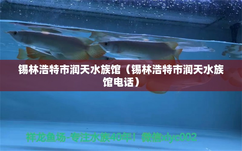 錫林浩特市潤(rùn)天水族館（錫林浩特市潤(rùn)天水族館電話） 全國(guó)水族館企業(yè)名錄