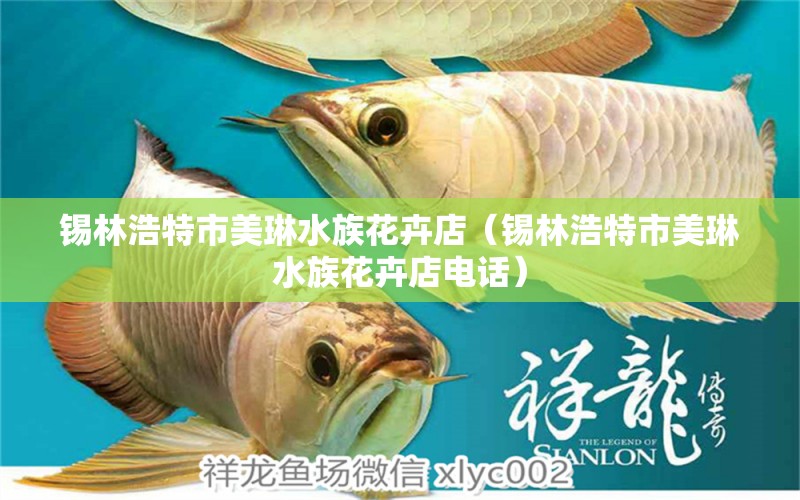 錫林浩特市美琳水族花卉店（錫林浩特市美琳水族花卉店電話） 全國(guó)水族館企業(yè)名錄