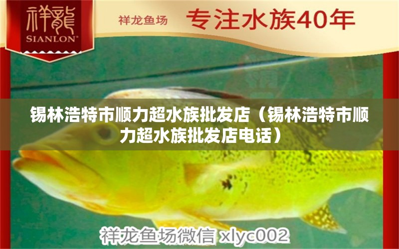 錫林浩特市順力超水族批發(fā)店（錫林浩特市順力超水族批發(fā)店電話） 全國水族館企業(yè)名錄