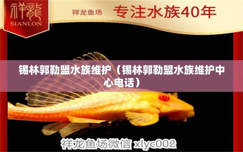 錫林郭勒盟水族維護(hù)（錫林郭勒盟水族維護(hù)中心電話）