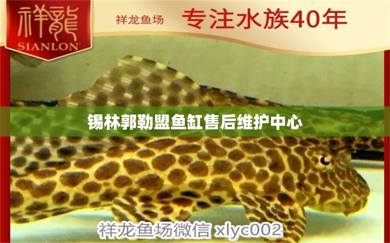 錫林郭勒盟魚(yú)缸售后維護(hù)中心