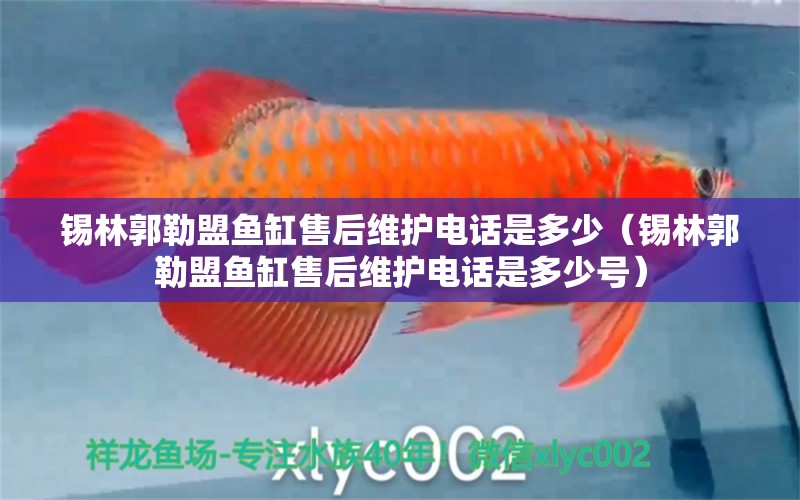 錫林郭勒盟魚缸售后維護電話是多少（錫林郭勒盟魚缸售后維護電話是多少號） 其他品牌魚缸