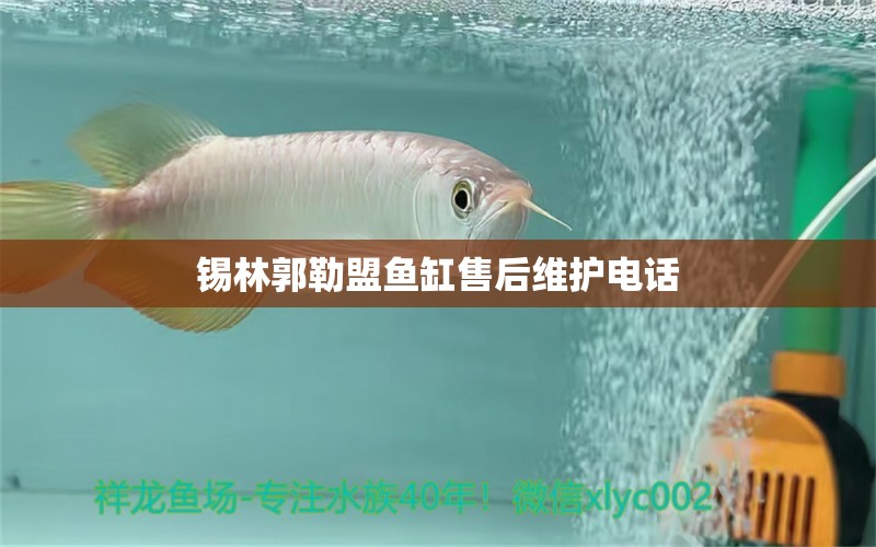 錫林郭勒盟魚(yú)缸售后維護(hù)電話 其他品牌魚(yú)缸