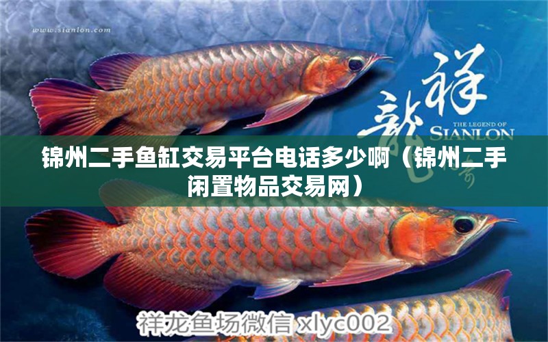 錦州二手魚缸交易平臺電話多少啊（錦州二手閑置物品交易網(wǎng)） 觀賞魚批發(fā)