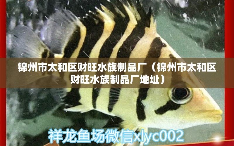 錦州市太和區(qū)財(cái)旺水族制品廠（錦州市太和區(qū)財(cái)旺水族制品廠地址）