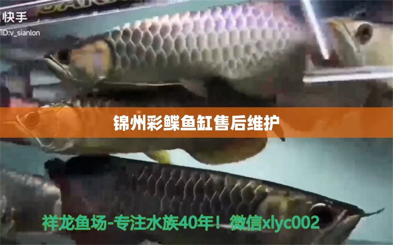 錦州彩鰈魚缸售后維護(hù) 彩鰈魚缸（彩蝶魚缸）