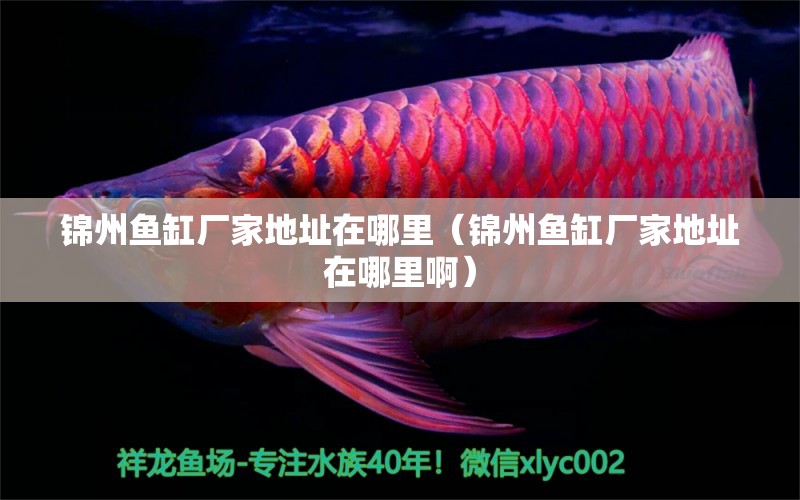 錦州魚缸廠家地址在哪里（錦州魚缸廠家地址在哪里?。? title=