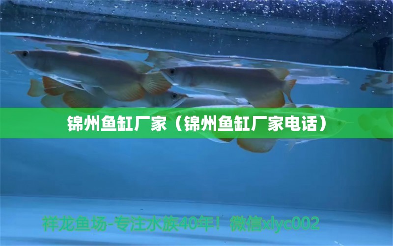 錦州魚缸廠家（錦州魚缸廠家電話）