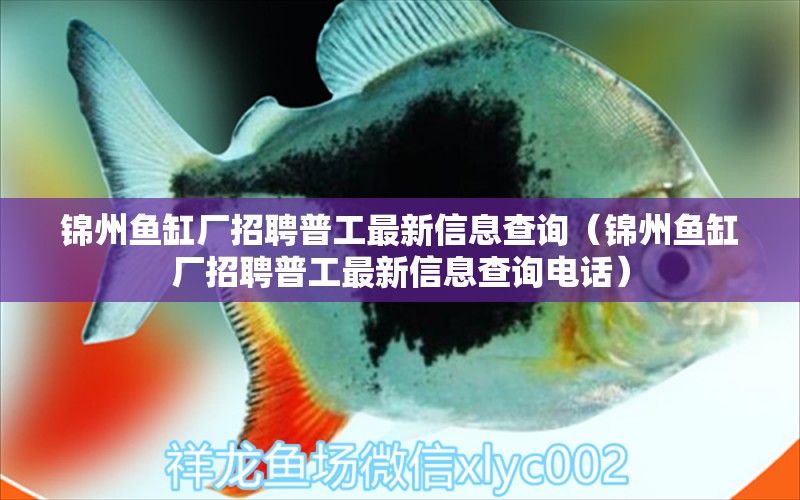 錦州魚(yú)缸廠招聘普工最新信息查詢（錦州魚(yú)缸廠招聘普工最新信息查詢電話）