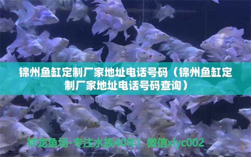 錦州魚缸定制廠家地址電話號碼（錦州魚缸定制廠家地址電話號碼查詢） 祥龍水族醫(yī)院