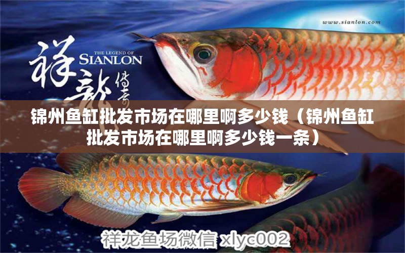 錦州魚缸批發(fā)市場在哪里啊多少錢（錦州魚缸批發(fā)市場在哪里啊多少錢一條） 祥龍水族醫(yī)院