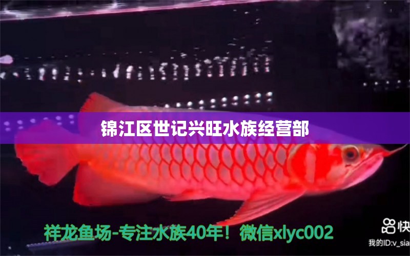 錦江區(qū)世記興旺水族經(jīng)營部