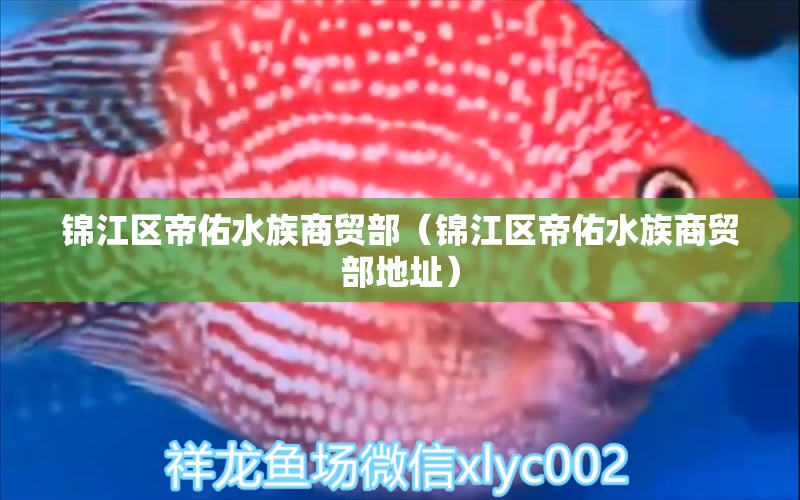 錦江區(qū)帝佑水族商貿(mào)部（錦江區(qū)帝佑水族商貿(mào)部地址）