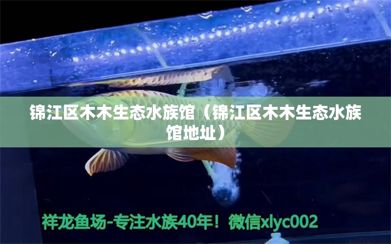 錦江區(qū)木木生態(tài)水族館（錦江區(qū)木木生態(tài)水族館地址）