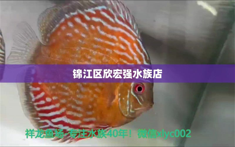 錦江區(qū)欣宏強(qiáng)水族店 全國水族館企業(yè)名錄