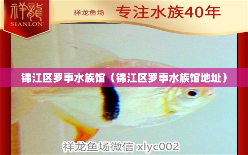 錦江區(qū)羅事水族館（錦江區(qū)羅事水族館地址）