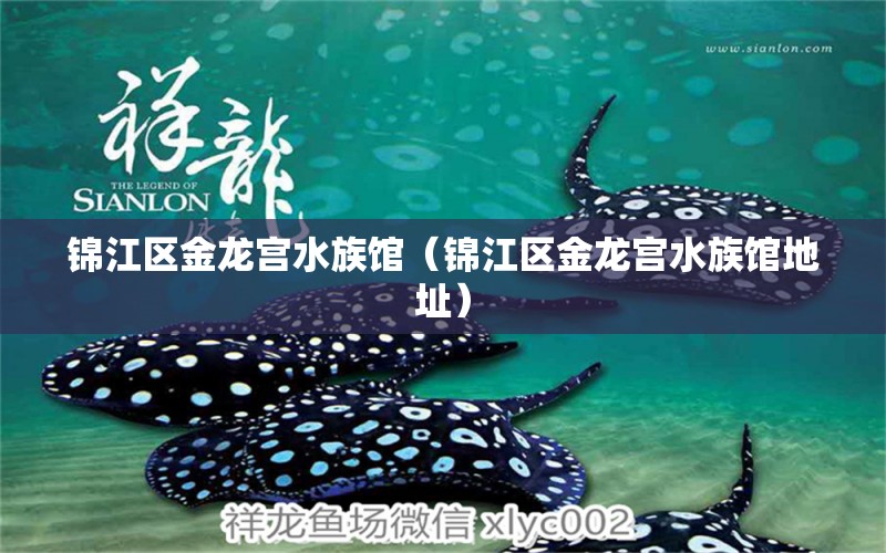 錦江區(qū)金龍宮水族館（錦江區(qū)金龍宮水族館地址）