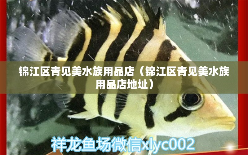 錦江區(qū)青見美水族用品店（錦江區(qū)青見美水族用品店地址）