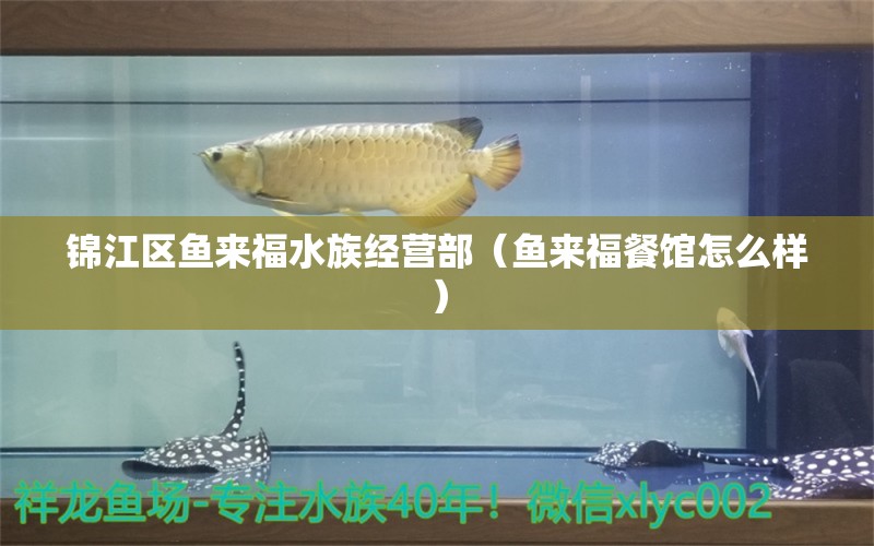 錦江區(qū)魚來福水族經(jīng)營部（魚來福餐館怎么樣）