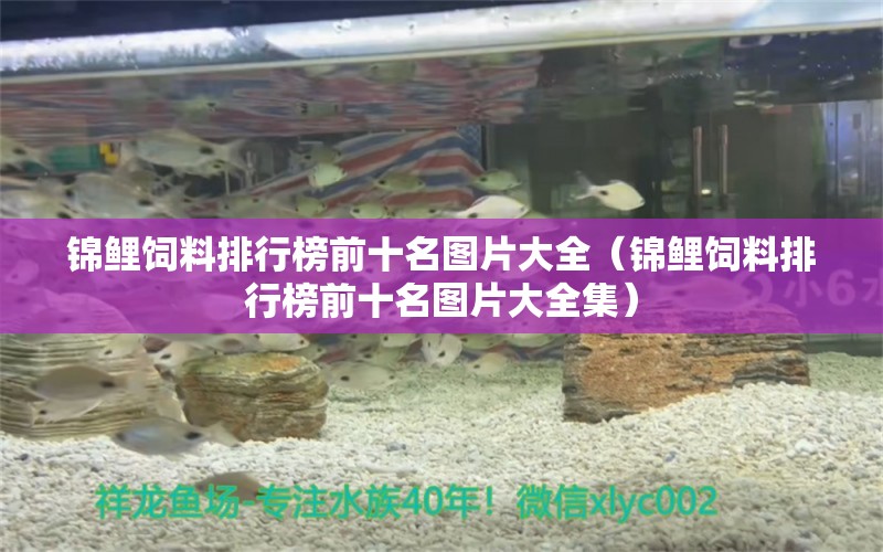 錦鯉飼料排行榜前十名圖片大全（錦鯉飼料排行榜前十名圖片大全集） 錦鯉飼料