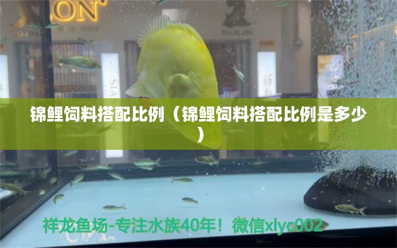 錦鯉飼料搭配比例（錦鯉飼料搭配比例是多少）