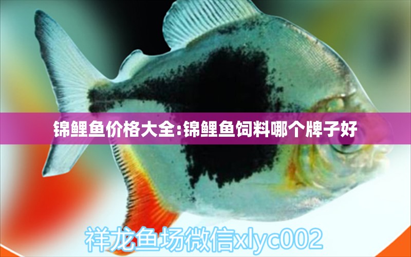 錦鯉魚價(jià)格大全:錦鯉魚飼料哪個牌子好