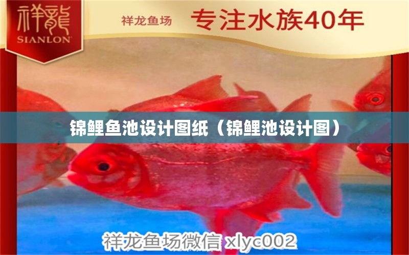 錦鯉魚(yú)池設(shè)計(jì)圖紙（錦鯉池設(shè)計(jì)圖）