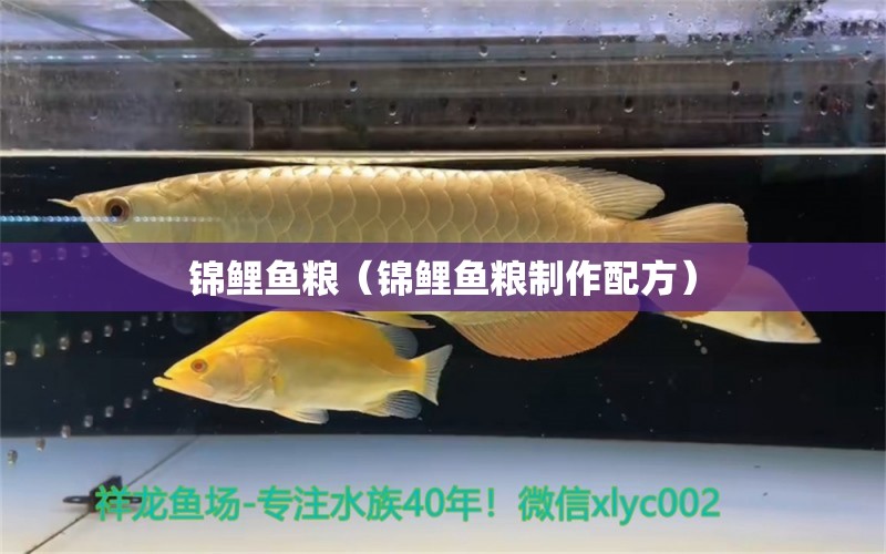 錦鯉魚糧（錦鯉魚糧制作配方） 龍魚批發(fā) 第1張