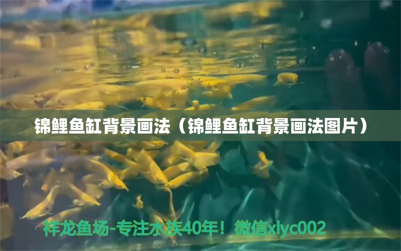 錦鯉魚(yú)缸背景畫(huà)法（錦鯉魚(yú)缸背景畫(huà)法圖片） 綠皮辣椒小紅龍