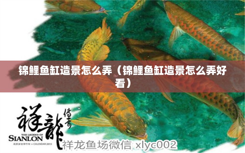 錦鯉魚缸造景怎么弄（錦鯉魚缸造景怎么弄好看） 祥龍水族醫(yī)院