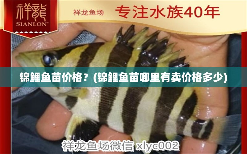 錦鯉魚(yú)苗價(jià)格？(錦鯉魚(yú)苗哪里有賣價(jià)格多少) 黃金鴨嘴魚(yú)