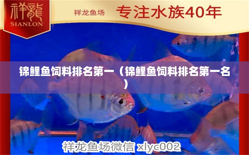 錦鯉魚飼料排名第一（錦鯉魚飼料排名第一名）