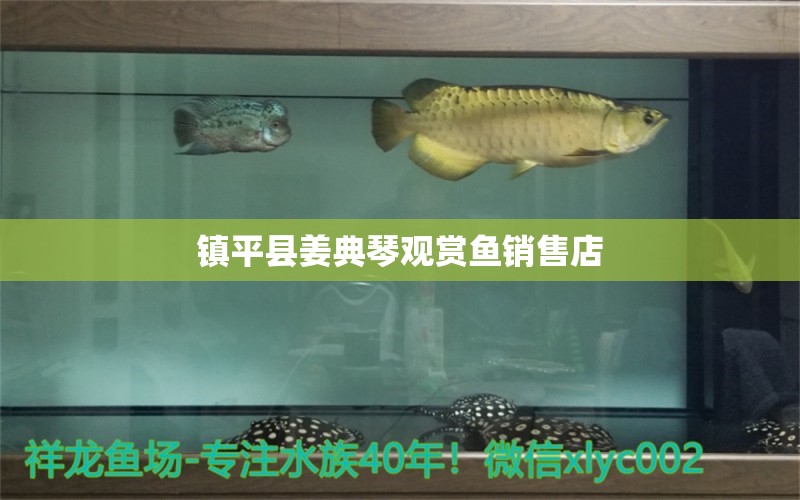 鎮(zhèn)平縣姜典琴觀賞魚銷售店 全國水族館企業(yè)名錄