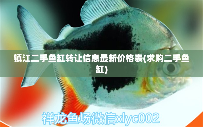 鎮(zhèn)江二手魚(yú)缸轉(zhuǎn)讓信息最新價(jià)格表(求購(gòu)二手魚(yú)缸) 九鼎魚(yú)缸 第1張