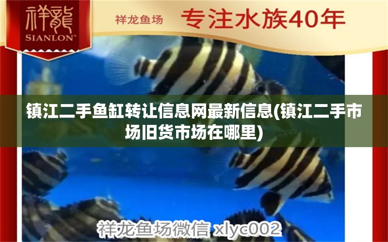 鎮(zhèn)江二手魚缸轉讓信息網(wǎng)最新信息(鎮(zhèn)江二手市場舊貨市場在哪里)