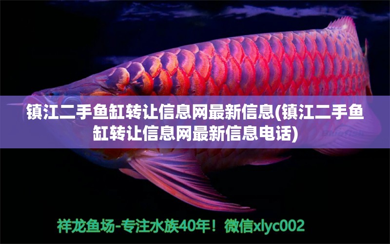 鎮(zhèn)江二手魚缸轉讓信息網(wǎng)最新信息(鎮(zhèn)江二手魚缸轉讓信息網(wǎng)最新信息電話)