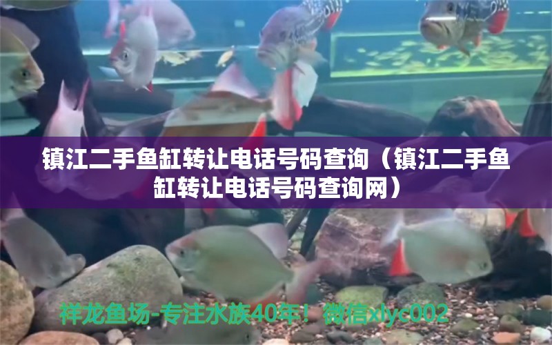 鎮(zhèn)江二手魚缸轉讓電話號碼查詢（鎮(zhèn)江二手魚缸轉讓電話號碼查詢網(wǎng)）