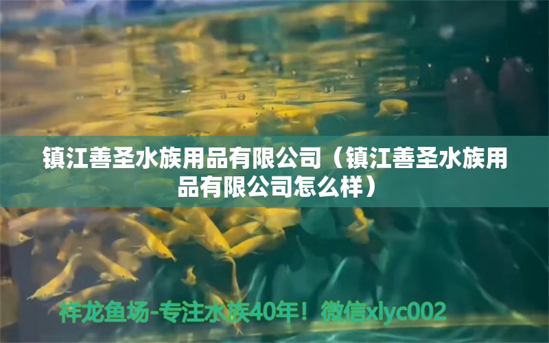 鎮(zhèn)江善圣水族用品有限公司（鎮(zhèn)江善圣水族用品有限公司怎么樣） 水族用品