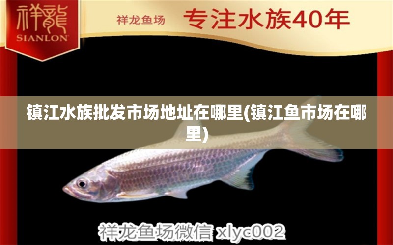 鎮(zhèn)江水族批發(fā)市場地址在哪里(鎮(zhèn)江魚市場在哪里)