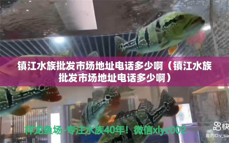 鎮(zhèn)江水族批發(fā)市場地址電話多少?。ㄦ?zhèn)江水族批發(fā)市場地址電話多少?。?觀賞魚水族批發(fā)市場