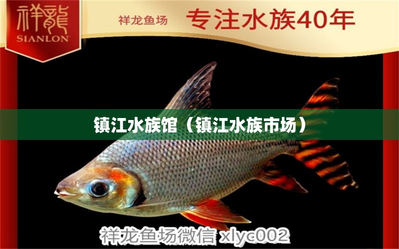 鎮(zhèn)江水族館（鎮(zhèn)江水族市場(chǎng)） 羅漢魚批發(fā) 第1張