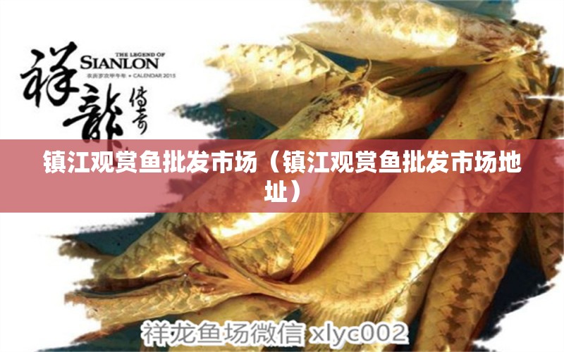 鎮(zhèn)江觀賞魚批發(fā)市場（鎮(zhèn)江觀賞魚批發(fā)市場地址）