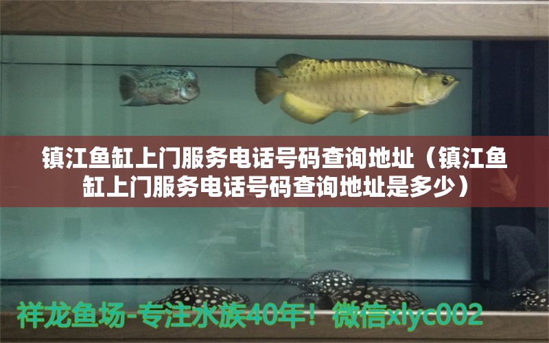 鎮(zhèn)江魚缸上門服務電話號碼查詢地址（鎮(zhèn)江魚缸上門服務電話號碼查詢地址是多少）