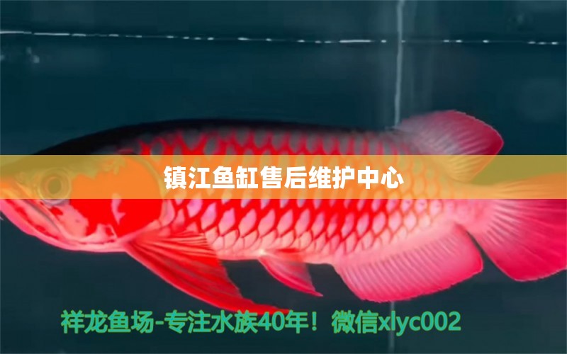 鎮(zhèn)江魚缸售后維護中心 其他品牌魚缸