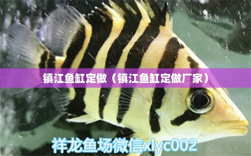 鎮(zhèn)江魚(yú)缸定做（鎮(zhèn)江魚(yú)缸定做廠家）